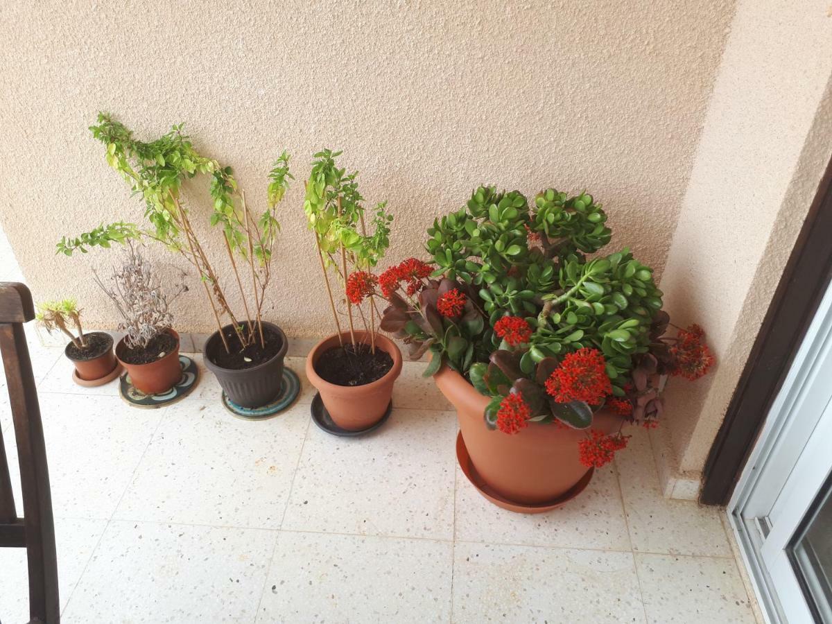 The Marilouize Apartment Pegeia Exterior foto